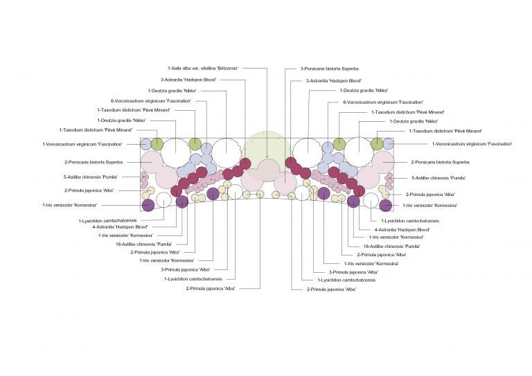 Pondside planting scheme