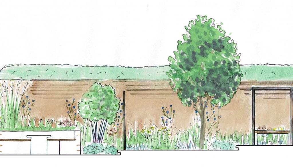 Cross section sketch of a family garden