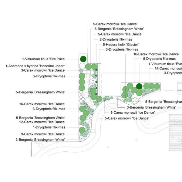 Shady planting scheme compressed