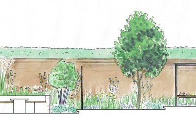 Cross section sketch of a family garden